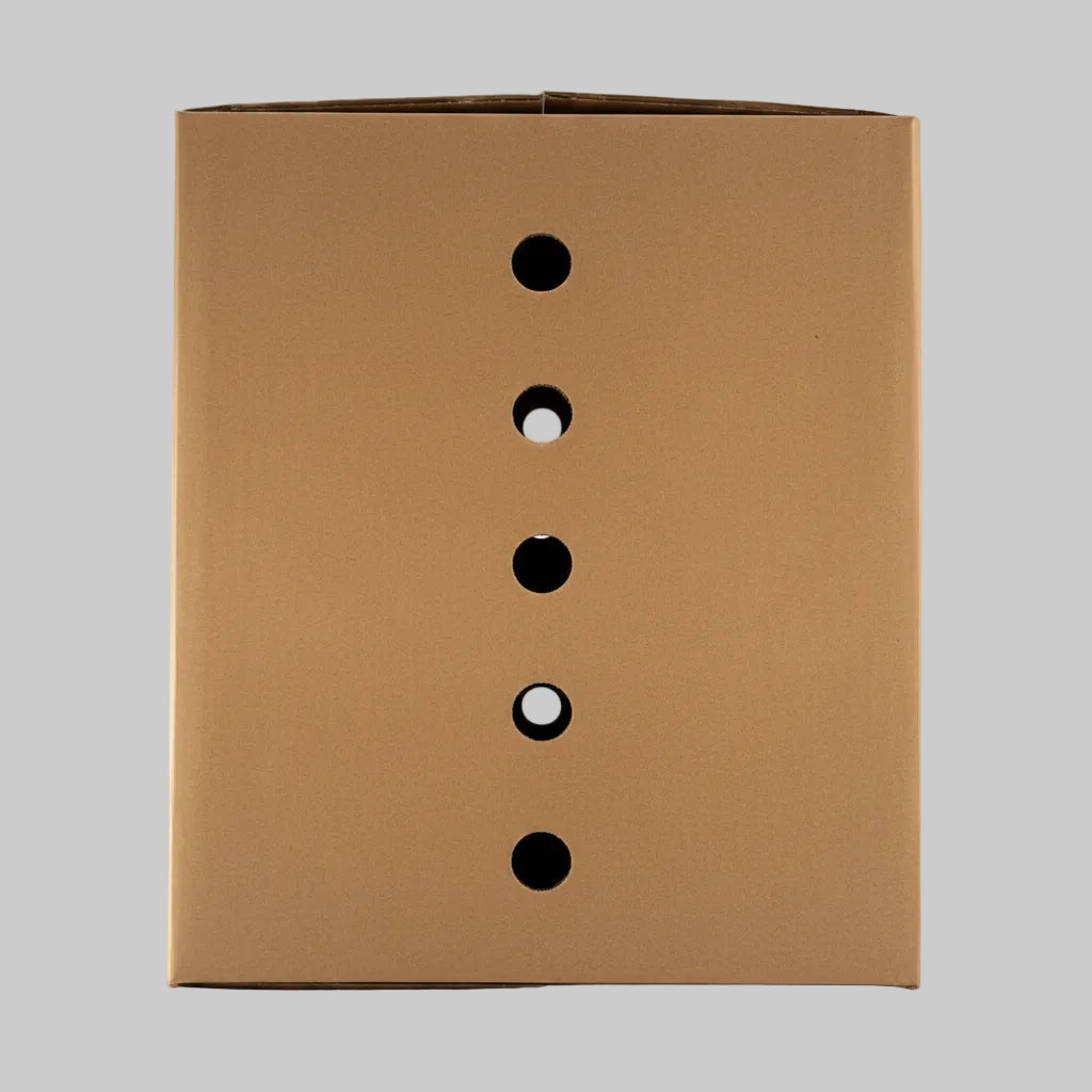 Brown cardboard egg box with vents on a white background
