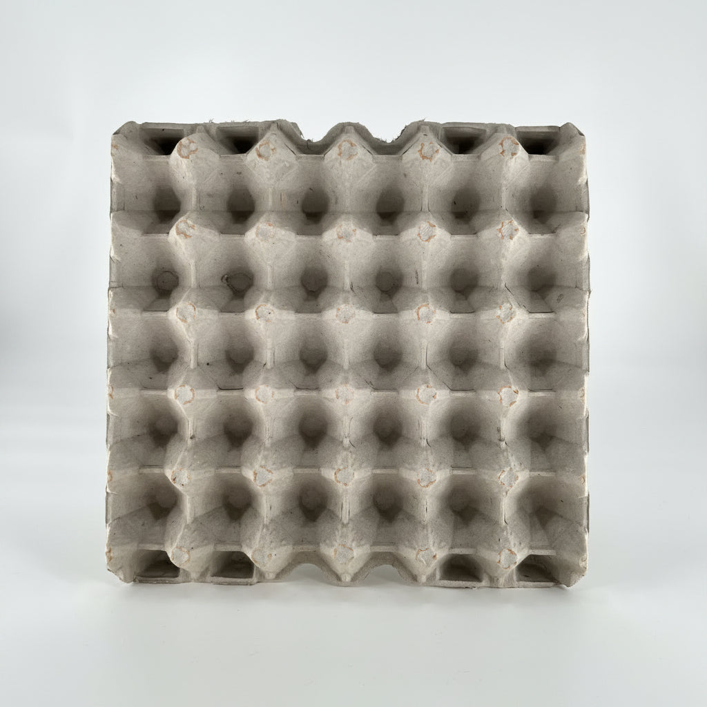 Egg Tray