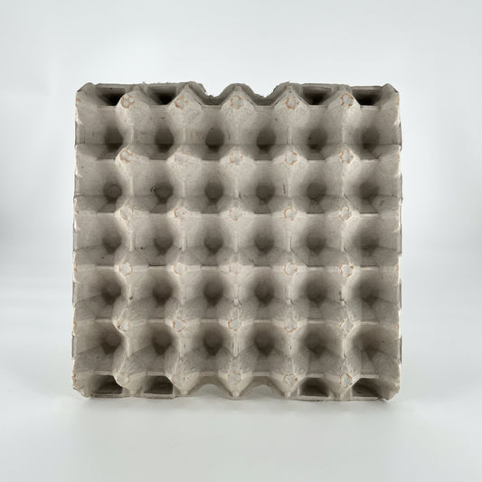 Egg Tray