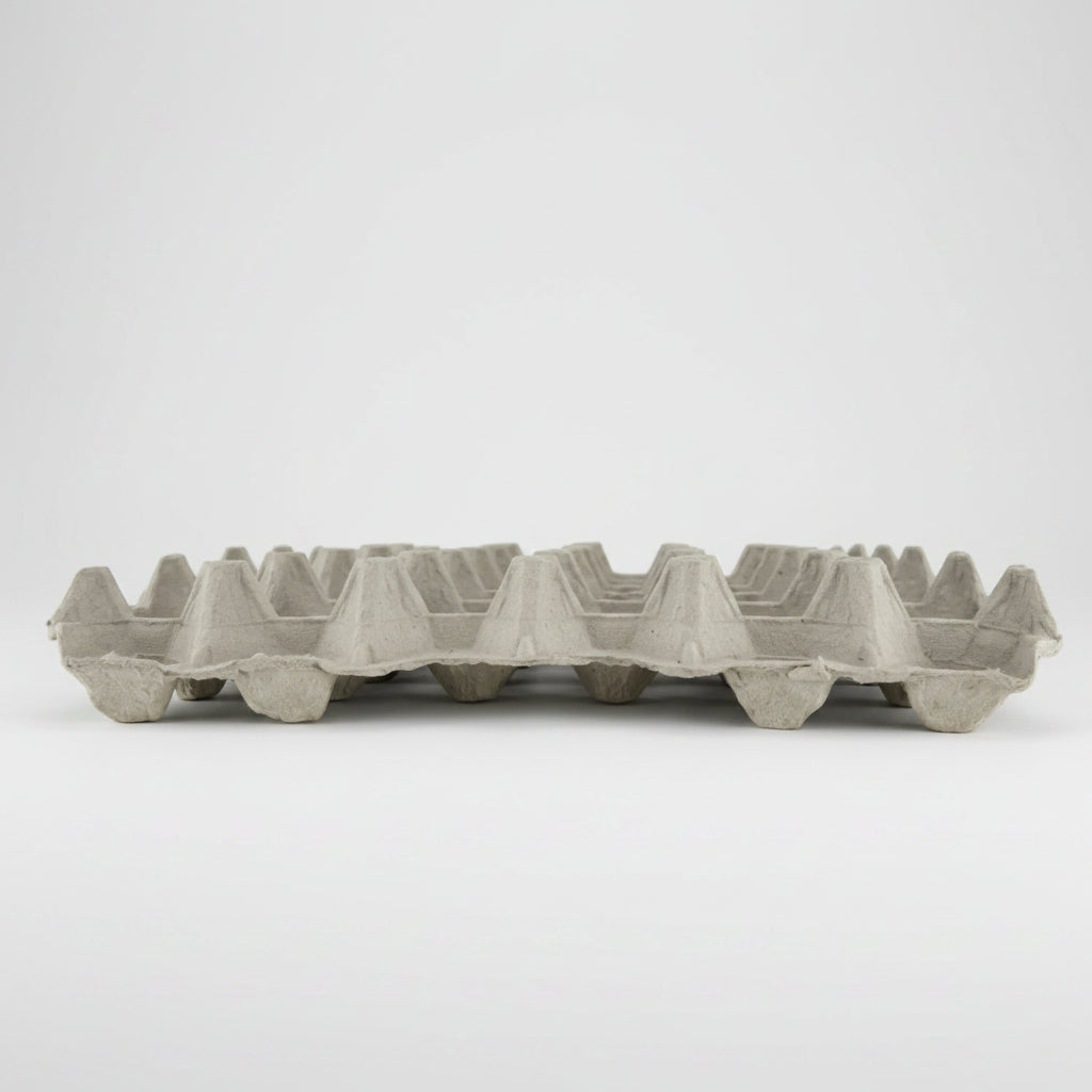 Egg tray made of a recycled material on a white background