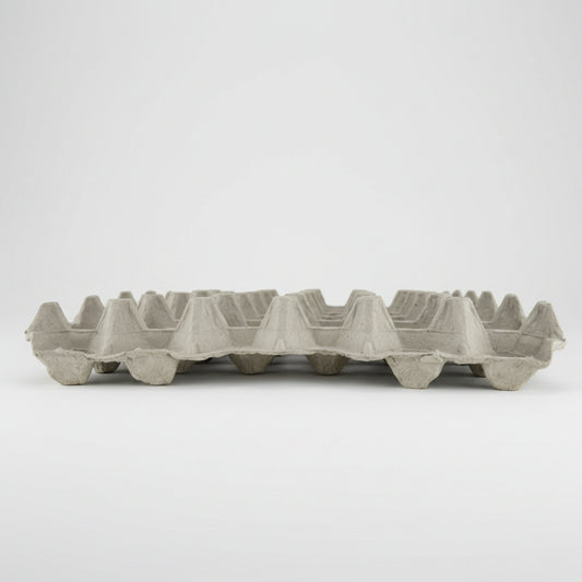 Egg tray made of a recycled material on a white background
