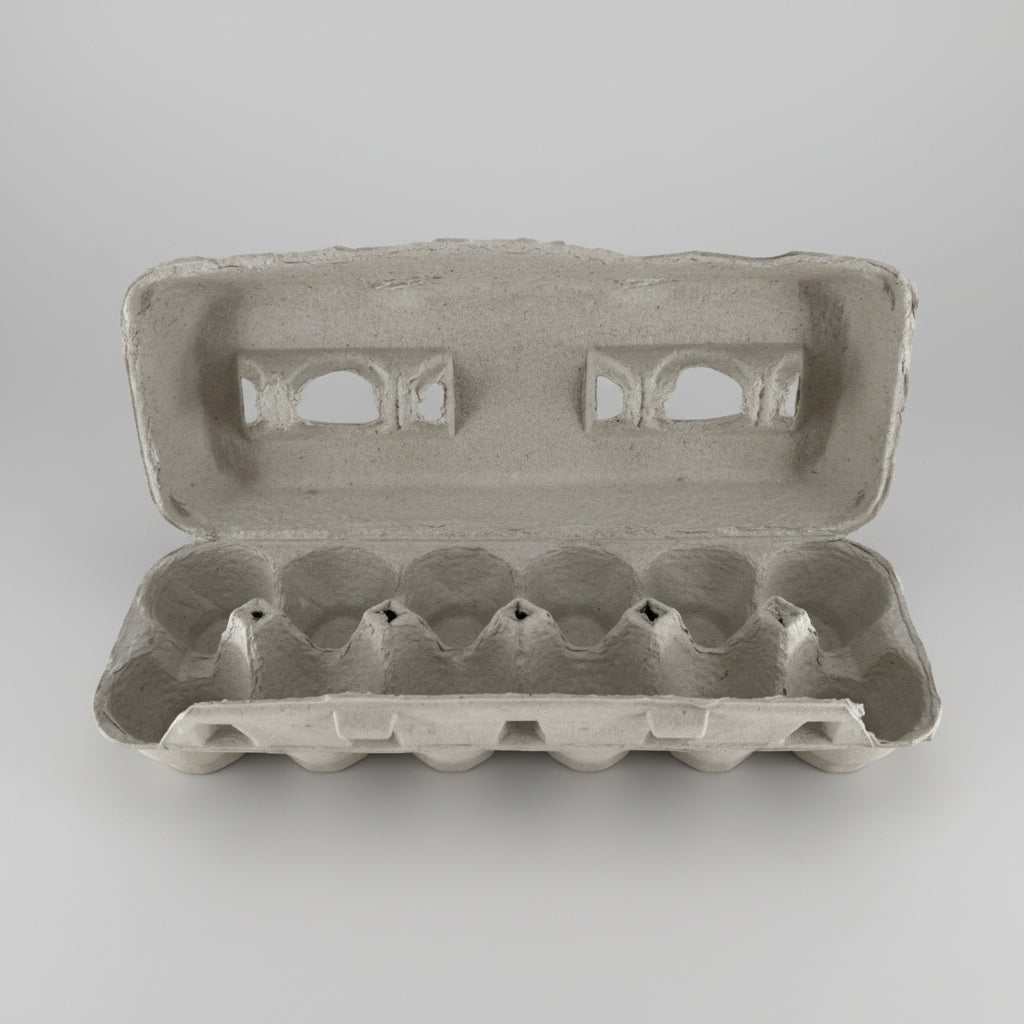 Empty cardboard egg carton on a white background