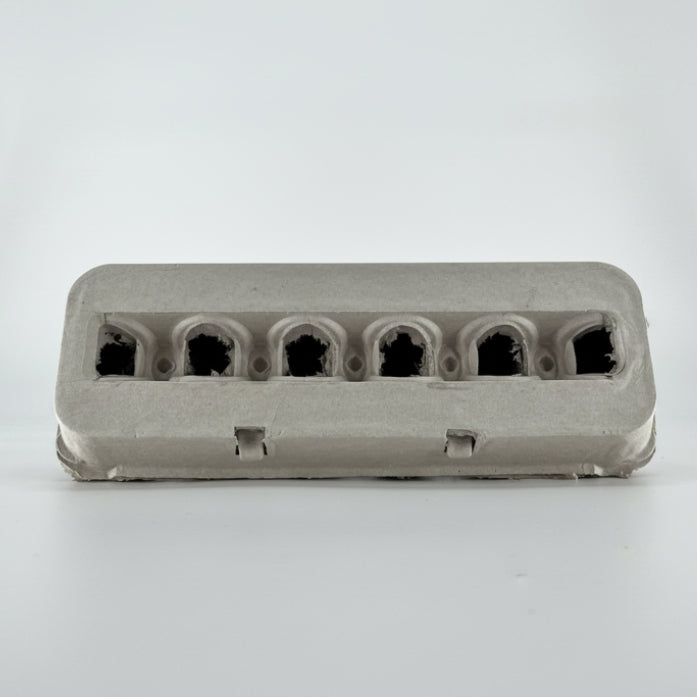 Blank Egg Carton