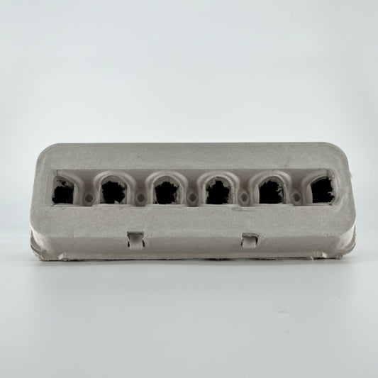 Blank Egg Carton
