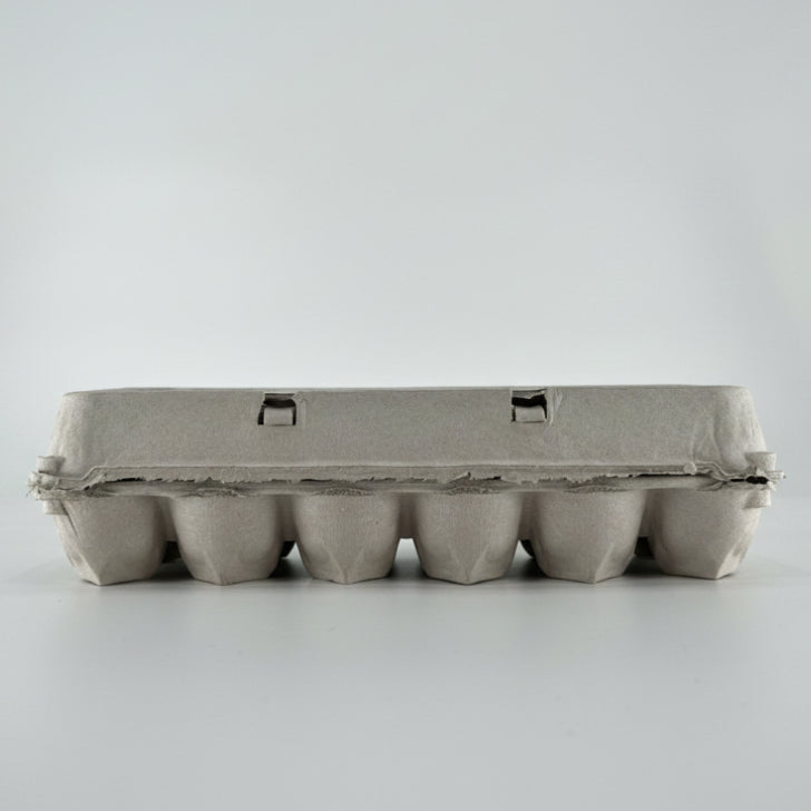 Blank Egg Carton